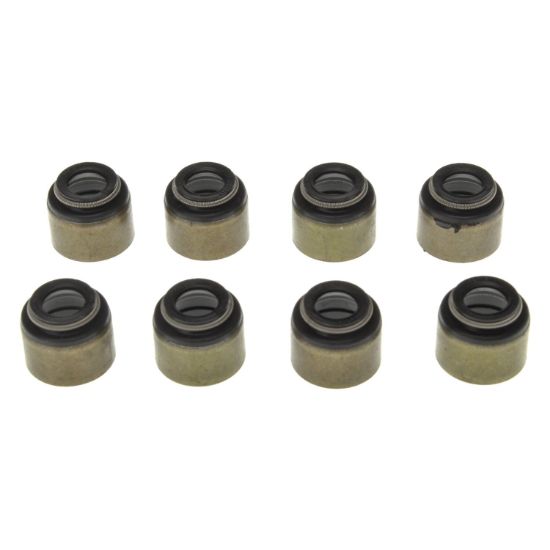 Int Vlv Stm Oil Seal Set 97-01 Chevy LS