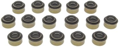 Valve Stem Oil Seal Set 09-21 Hemi 5.7L