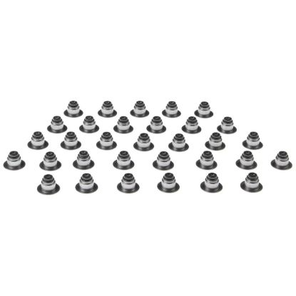 Valve Stem Oil Seal Set 11-17 Ford 5.0L