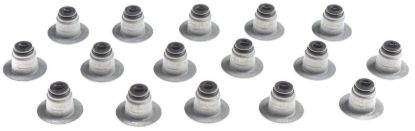 Valve Stem Oil Seal Set 20+ Ford 7.3L