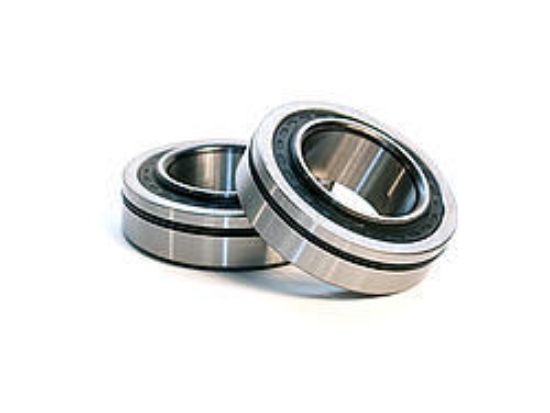 Axle Bearings Big Ford & Olds/Pontiac Pair