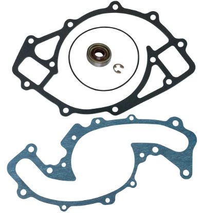 Elec W/P Rebuild Kit For 63595