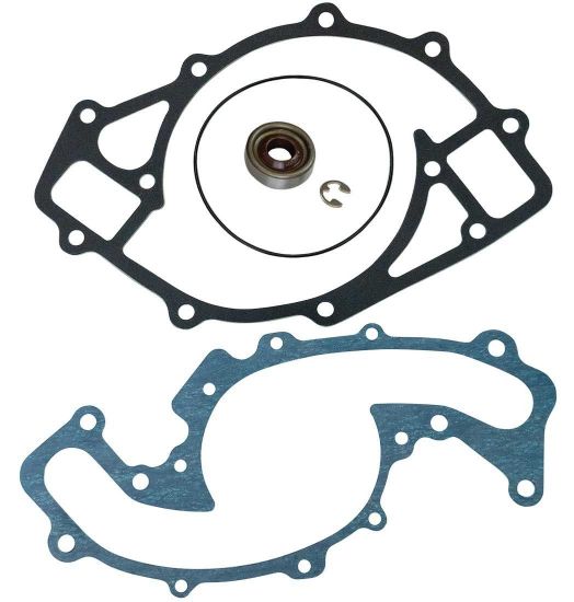 Elec W/P Rebuild Kit For 63595