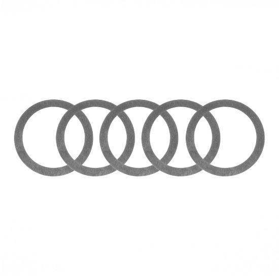 DANA PRELOAD SHIMS (D60 & D70)