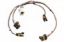 Ignition Harness 97-04 LS1 Engines