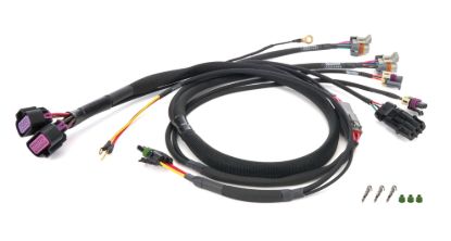 Wiring Harness MSD GM LS CT525Engine