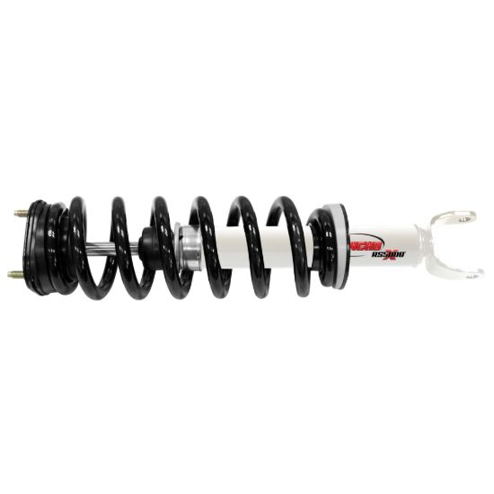 Suspension Strut and Coil Spring