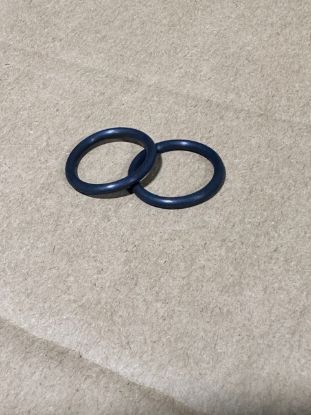 -06 Viton O-Ring - 2/pkg