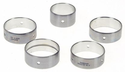 Cam Bearing Set