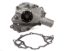 Water Pump SBF Ford Stage 4