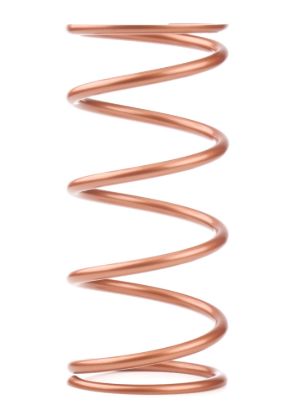 Conventional Spring 11in x 5in x 175#