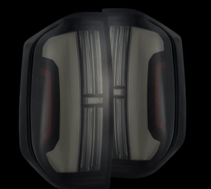 Picture of AlphaRex Tail Light Assembly - 672042