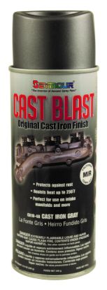 Picture of Alumi-Blast Paint - CA16-048