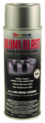Picture of Alumi-Blast Paint - CA16-055