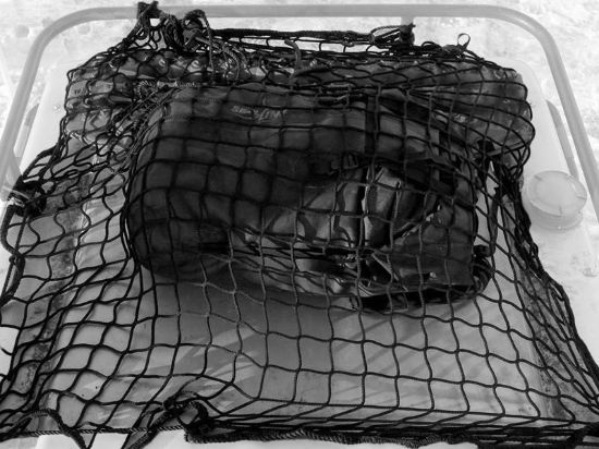 Picture of Aluminess Roof Rack Accessory - 400683