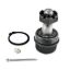 Picture of Apex Chassis Suspension Ball Joint - BJ108