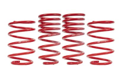 Picture of BMR Suspension Suspension Struts / Shock Absorbers / Coil Springs / Camber Plate Kit - SP300R