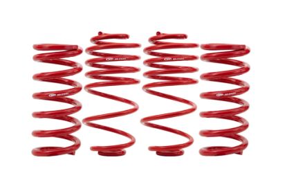 Picture of BMR Suspension Suspension Struts / Shock Absorbers / Coil Springs / Camber Plate Kit - SP463R