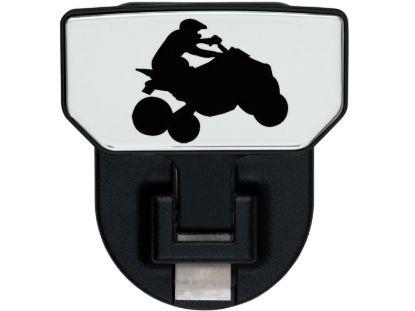 Picture of Carr Receiver Hitch Mounted Step - 183162