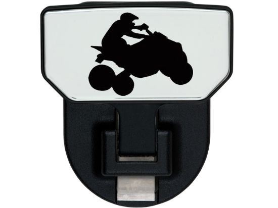 Picture of Carr Receiver Hitch Mounted Step - 183162