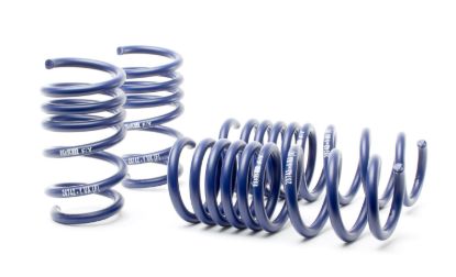 Picture of H&R Special Springs LP Coil Spring Lowering Kit - 28742-1