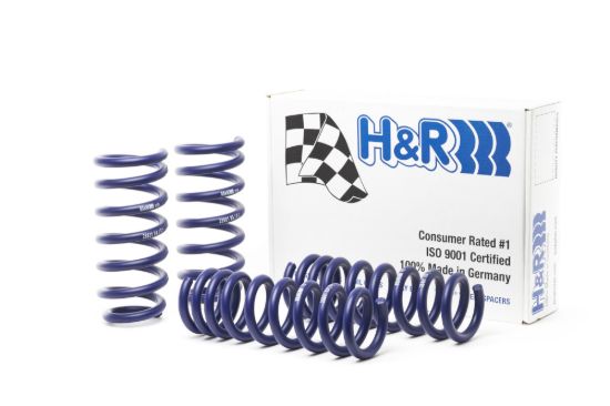 Picture of H&R Special Springs LP Coil Spring Lowering Kit - 28801-1