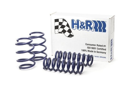 Picture of H&R Special Springs LP Coil Spring Lowering Kit - 28878-5