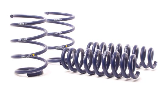 Picture of H&R Special Springs LP Coil Spring Lowering Kit - 28959-2
