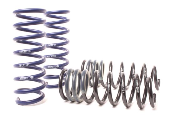 Picture of H&R Special Springs LP Coil Spring Lowering Kit - 28991-2