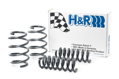 Picture of H&R Special Springs LP Coil Spring Lowering Kit - 29028-1