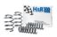 Picture of H&R Special Springs LP Coil Spring Lowering Kit - 29028-1