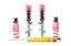 Picture of H&R Special Springs LP Coilover Adjustable Spring Lowering Kit - 29043-1