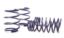 Picture of H&R Special Springs LP Coil Spring Lowering Kit - 29205