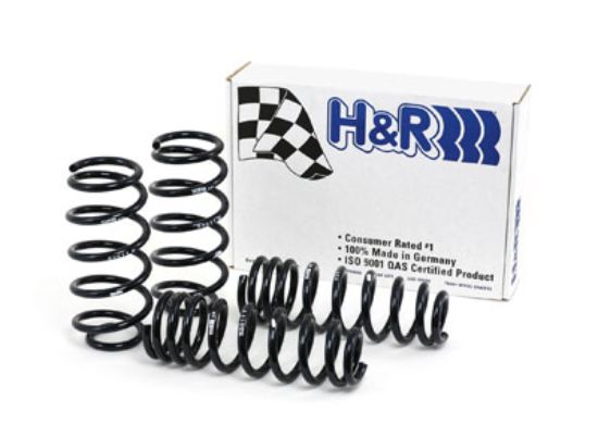 Picture of H&R Special Springs LP Coil Spring Lowering Kit - 29311
