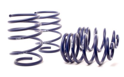 Picture of H&R Special Springs LP Coil Spring Lowering Kit - 29383