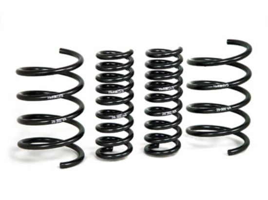 Picture of H&R Special Springs LP Coil Spring Lowering Kit - 29392