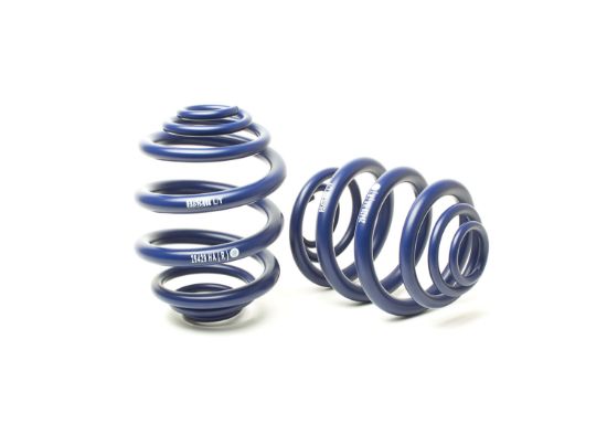 Picture of H&R Special Springs LP Coil Spring Lowering Kit - 29429