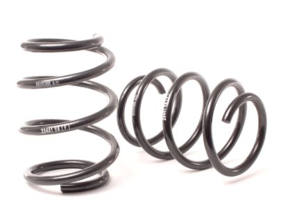 Picture of H&R Special Springs LP Coil Spring Lowering Kit - 29441