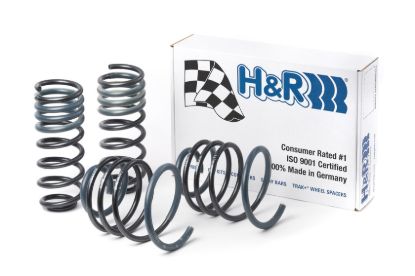 Picture of H&R Special Springs LP Coil Spring Lowering Kit - 29466