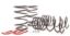 Picture of H&R Special Springs LP Coil Spring Lowering Kit - 29467