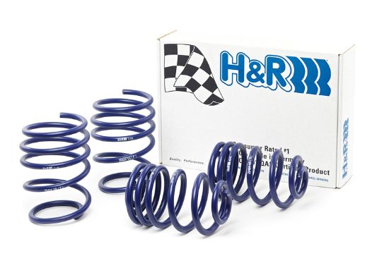 Picture of H&R Special Springs LP Coil Spring Lowering Kit - 29484
