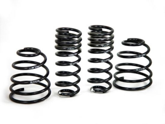 Picture of H&R Special Springs LP Coil Spring Lowering Kit - 29513-2