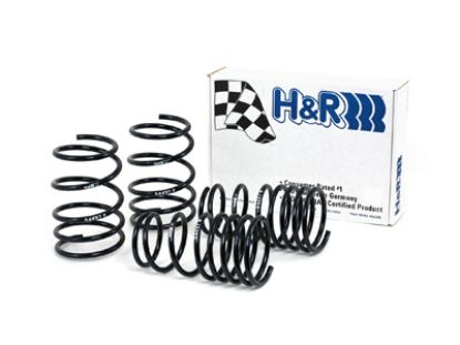 Picture of H&R Special Springs LP Coil Spring Lowering Kit - 54457
