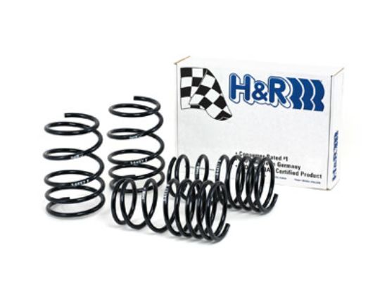 Picture of H&R Special Springs LP Coil Spring Lowering Kit - 54457