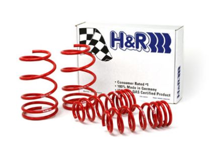 Picture of H&R Special Springs LP Coil Spring Lowering Kit - 54608