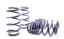 Picture of H&R Special Springs LP Coil Spring Lowering Kit - 54733