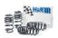 Picture of H&R Special Springs LP Coil Spring Lowering Kit - 54752