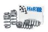 Picture of H&R Special Springs LP Coil Spring Lowering Kit - 54763