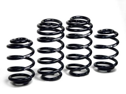 Picture of H&R Special Springs LP Coil Spring Lowering Kit - 54774-2