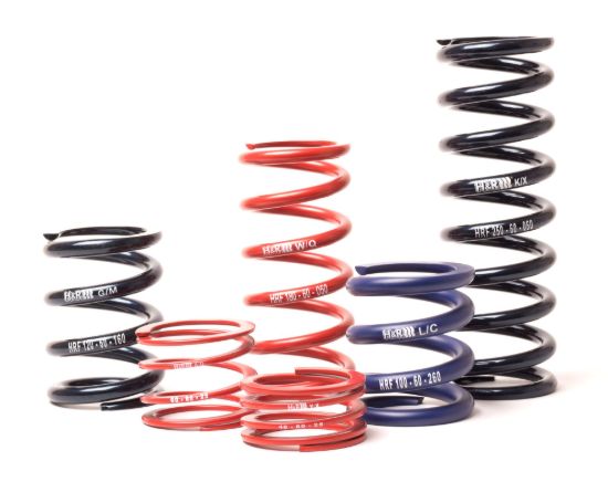 Picture of H&R Special Springs LP Coil Spring - RF120300